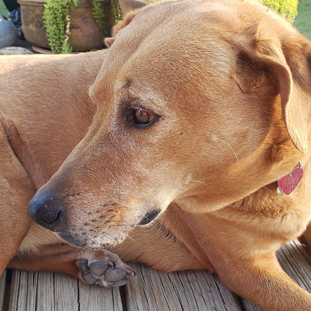 Meet your Posher, Kathryn